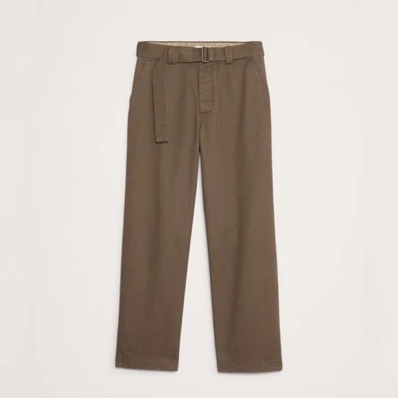 NWT Banana Republic Loose Dried Pinecone Brown Chino Sz 30 x 30.